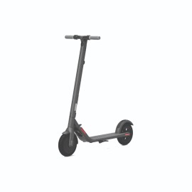 Segway Ninebot KickScooter E22 Electric Scooter BS200204