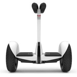 Segway Ninebot S Smart Self-Balancing Electric Scooter BS500274