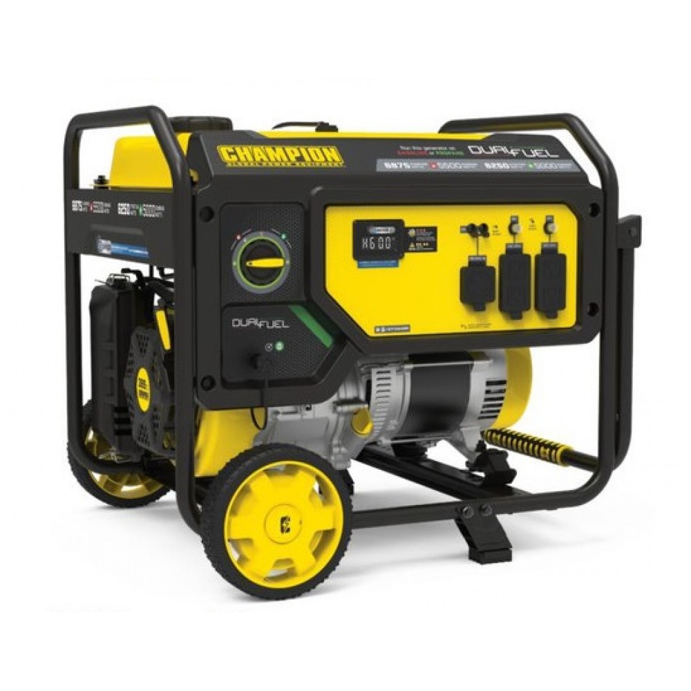 Champion 5500 Watt Dual Fuel Generator with CO Shield