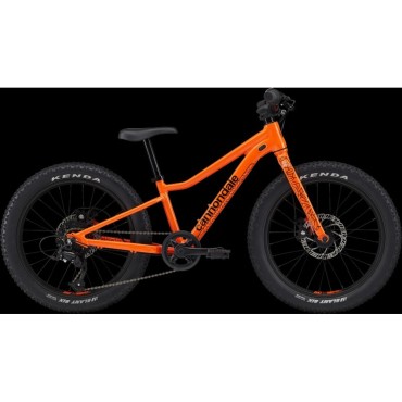 Cannondale Trail Plus 20