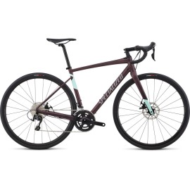 2019 Specialized Diverge E5 Womens - Road Bike